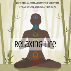 Relaxing Life: Buddha Meditation for Tibetan Relaxation and Spa Therapy by Night Mood album reviews, ratings, credits