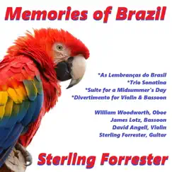 Lembranças Do Brasil, Op. 36: II. Querido João Song Lyrics