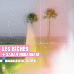 Fun for Professionals (feat. Sarah Negahdari) - Single by Les Biches album reviews, ratings, credits