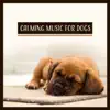 Calming Music for Dogs - Relaxing Sounds to Reduce Anxiety, Stress or Fear, Peaceful Pet Music Therapy album lyrics, reviews, download