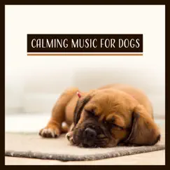 Relaxing Dog Music Song Lyrics