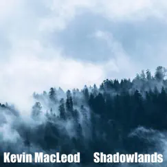 Shadowland, The Pit Song Lyrics