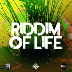 Riddim of Life - Single by Kes, Gbmnutron & Dwala album reviews, ratings, credits