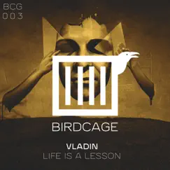 Life Is a Lesson - Single by Vladin album reviews, ratings, credits
