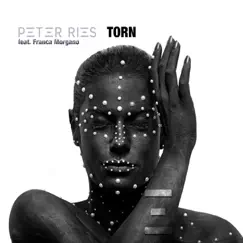 Torn - Single by Peter Ries album reviews, ratings, credits