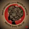 Never Give You Up (feat. Beverlei Brown) album lyrics, reviews, download