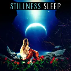 Stillness Sleep: Dream Journey, Intense Regeneration, Soulful Fantasies, Sleep Well, Evening Calm, Good Night, Serenity Lullabies by Flute Music Ensemble album reviews, ratings, credits