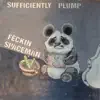 Feckin Spaceman album lyrics, reviews, download