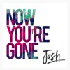 Now You're Gone - EP album lyrics, reviews, download