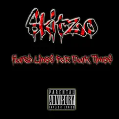 Harsh Lines for Dark Times by Skitzo album reviews, ratings, credits