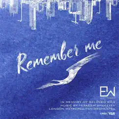 Yerkesh Shakeyev: Remember Me - Single by London Metropolitan Orchestra & Andy Brown album reviews, ratings, credits