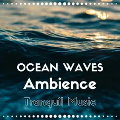 Ocean Waves Ambience: with Forest Sounds, Birds, Water, Tranquil Music by Deep Sleep Polo Club album reviews, ratings, credits