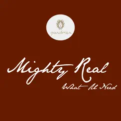 What U Need - Single by Mighty Real album reviews, ratings, credits