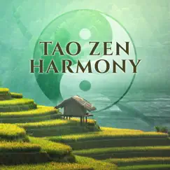Tao Zen Harmony: Oriental Music for Yin Yoga, Power from Deep Meditation, Soul Relaxation, Spiritual Journey, Balancing Body & Mind by Tao Te Ching Music Zone & Yin Yang Music Zone album reviews, ratings, credits