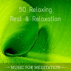 Zen Meditation (Soothing Music) Song Lyrics