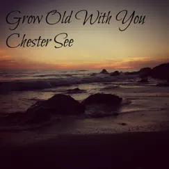 Grow Old With You - Single by Chester See album reviews, ratings, credits