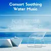 Consort Soothing Water Music for Stress Management album lyrics, reviews, download