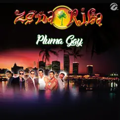 Pluma Gay - Single by Zona Rika album reviews, ratings, credits