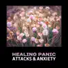 Healing Panic Attacks & Anxiety song lyrics