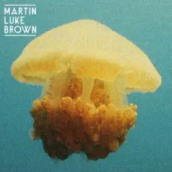 Into Yellow - Single by Martin Luke Brown album reviews, ratings, credits