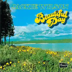 Beautiful Day by Jackie Wilson album reviews, ratings, credits