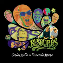 Besouros by Carlos Malta & Fernando Moura album reviews, ratings, credits
