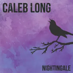 Nightingale - EP by Caleb Long album reviews, ratings, credits