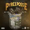 Pyrex Posse album lyrics, reviews, download