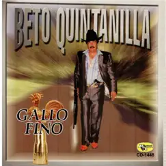 Gallo Fino by Beto Quintanilla album reviews, ratings, credits
