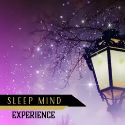 Sleep Mind Experience: Dreamy Journey, Deep Sleep Meditation, Soft Music to Help You Fall Asleep, New Age for Insomnia by Soothing Chill Out for Insomnia & Insomnia Cure Music Society album reviews, ratings, credits