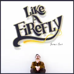 Like a Firefly by James Beer album reviews, ratings, credits