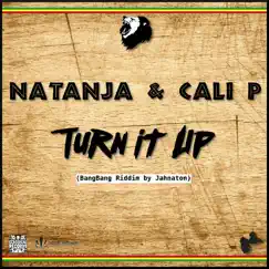 Turn It Up - Single by Natanja & Cali P album reviews, ratings, credits