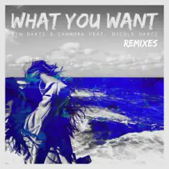 What You Want (feat. Nicole Gartz) [Sophill Remix] Song Lyrics