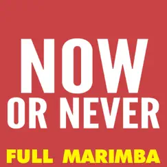Now or Never (Marimba Remix) - Single by The Marimba Squad album reviews, ratings, credits