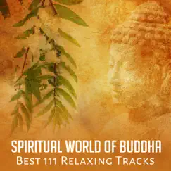 Spiritual World of Buddha: Best 111 Relaxing Tracks for Mindfulness Exercises, Yoga Classes, Healing Mantra Meditation, Harmony of Senses by Various Artists album reviews, ratings, credits