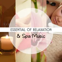 Essential of Relaxation & Spa Music: Soothing Sounds for Massage and Beauty Treatments, Spa at Home, Relax Zone by Zen Spa Music Experts album reviews, ratings, credits