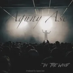 In the Wind - Single by Aguny Ase album reviews, ratings, credits