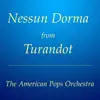 Nessun Dorma from Turandot (Instrumental) [Live] - Single album lyrics, reviews, download