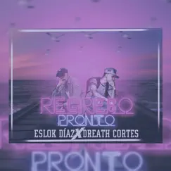 Regreso Pronto (feat. Eslok Diaz) Song Lyrics