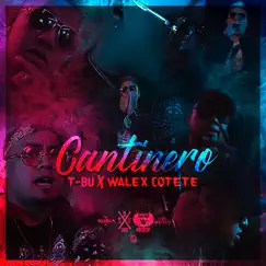 Cantinero - Single by T-bu gomez & Walex Cotete album reviews, ratings, credits