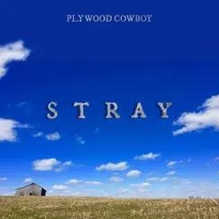 Stray - Single by Plywood Cowboy album reviews, ratings, credits