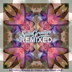 Butterfly (Wolfgang Lohr Remix) Song Lyrics