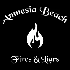 Fires & Liars - Single by Amnesia Beach album reviews, ratings, credits