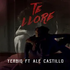 Te Lloré (feat. Alex Castillo) - Single by Yerbig Maleante album reviews, ratings, credits