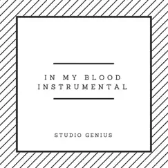 In My Blood Instrumental (Originally by Shawn Mendes) Song Lyrics