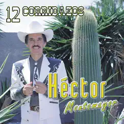 Hector Montemayor - 12 Corridazos by Hector Montemayor album reviews, ratings, credits