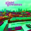 Meet Giant Gowanus - EP album lyrics, reviews, download