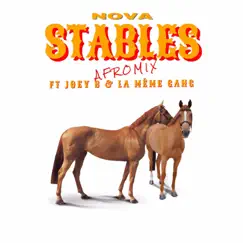 Stables (feat. Joey B & La Même Gang) [Afromix] Song Lyrics