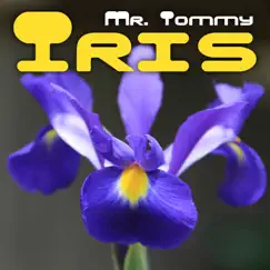 Iris - Single by Mr. Tommy album reviews, ratings, credits