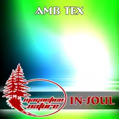 Amb Tex - Single by Insoul album reviews, ratings, credits